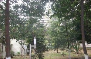 人民苑 1室1厅 北