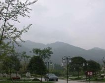 金色怡园 2室2厅 东南