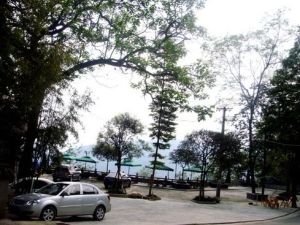 青城24院2室2厅西南