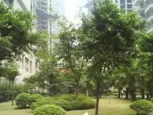 南坪 惠工路三房41万