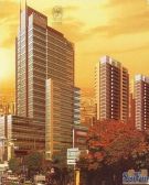 帝奥世伦名郡精装带车位 总价太棒