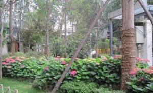 金房星座 4室1厅 东南