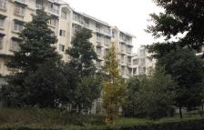 泉水南苑2室2厅东