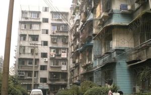 平福路48号 3室1厅 东南