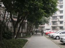 金鱼街5号3室1厅东南