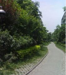 抚琴西路238号2室1厅东南