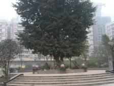 桂花新村 1室1厅 西 西北