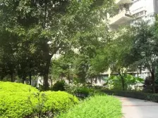 南坪 桂花新村二房32万