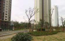 高区景观房看房提前约位置安静