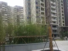 江景大三房、老业主诚意出售!!!