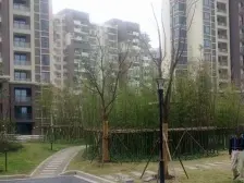 【徐汇滨江】【精装修】【税费很省】高区、江景房