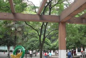 抚琴西南街4号院4室1厅东南