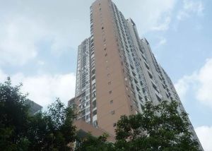 金璐天下1室0厅东北
