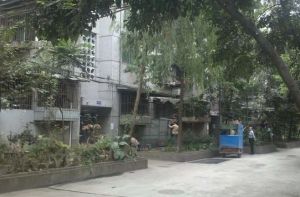 沙河源街道川建社区2室2厅东