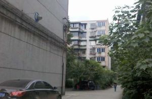 沙河源街道川建社区2室1厅东南