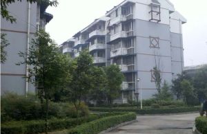 【杨柳新屯】| 成都市金牛区洞子口北街5号10栋2单元4楼14号的房产