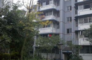 杨柳新屯 2室1厅 西北