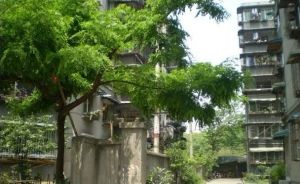 永兴社区1室1厅南北
