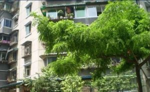 永兴社区1室2厅东南