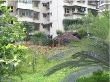 满两年,户型方正没有浪费面积,小区地理位置好