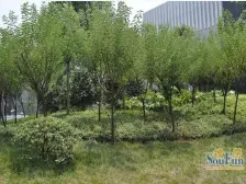 开发商精装4房--- 购物出行方便--诚心随时看