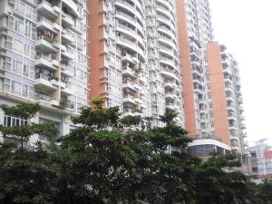 绿荫路2室1厅东南北