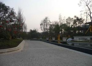 碧城旺丽庄园2室1厅北