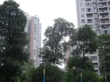 弹子石 富春花园三房78万