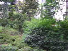 住家精装大三房,保持很好,业主诚心卖