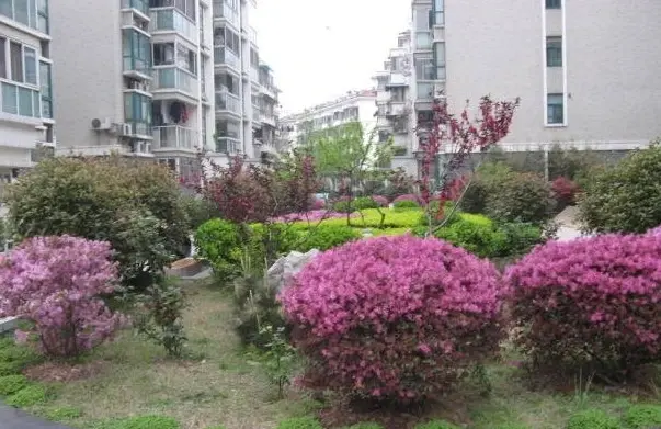 龙门居