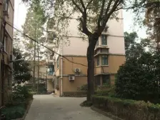 永福路近湖南路,梧桐树下小区,小区宽敞,社区优美