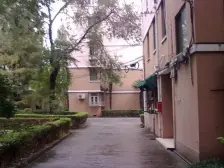 伯乐大院 3室1厅 南