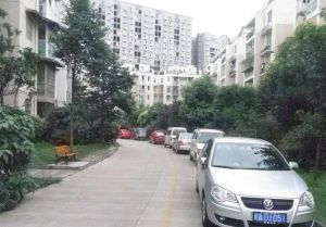 中坝小区1室1厅西南