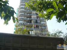 南坪东路1巷 2室1厅 东