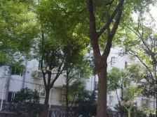 句容小区1室北朝向290.00万元/套出售