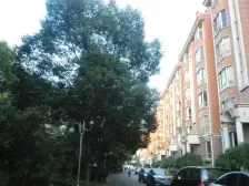 北华苑 2室2厅 南 北