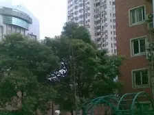 老静安高楼层优选急售好房源推荐