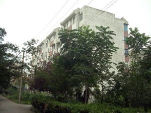 华林新村3室1厅南北