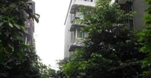 富豪佳苑二期 3室2厅 南