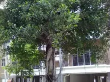 三峡广场旁,满五唯一,业主急售,价格优质,户型方正