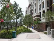 第一城D区 2室2厅 东