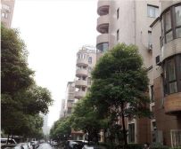 近地铁现场实勘,电梯房,必看好房