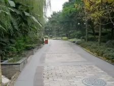 精装顶跃带地暖洋房 门口地铁出行,看公园