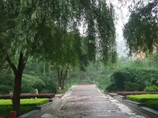 带车位 纯洋房小区 近轻轨 自住精装修 安心卖