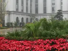 西区 润丰水尚四房305万