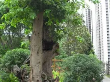 此房位于滨江路上,北滨公园一路之隔