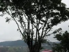 位于滨江路上,大3房卧室客厅都大。北滨公园一路之隔