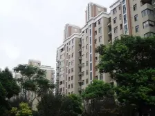 杨泰实验大三房,面宽4米多,电梯中间楼层,中心位置,价格可谈