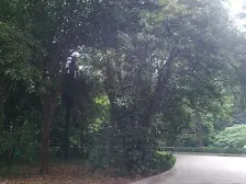 繁华地段,环境优美,价格好谈,一梯四户,田园风格,南北通透,配套完善