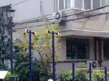 静安寺商圈精装修配套成熟交通便利日照充足